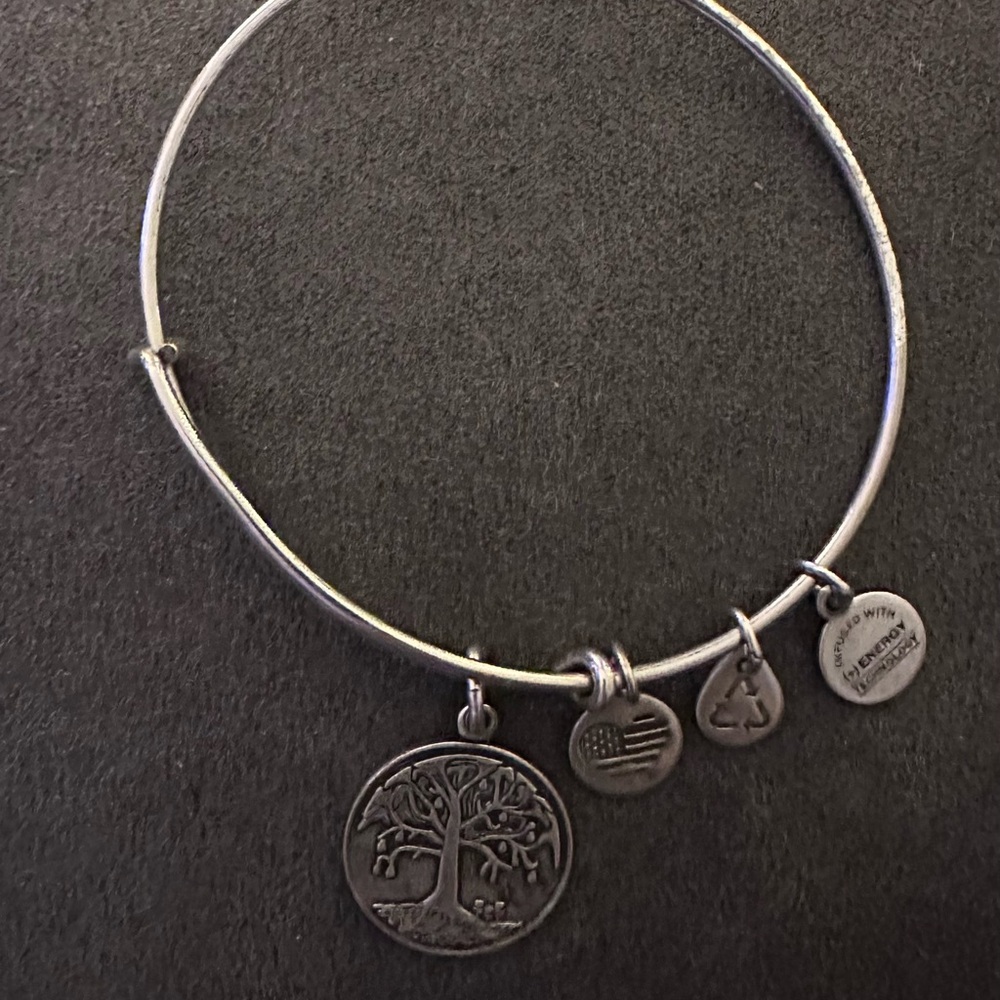 Alex and Ani Silver Charm Bracelet with Family Tree